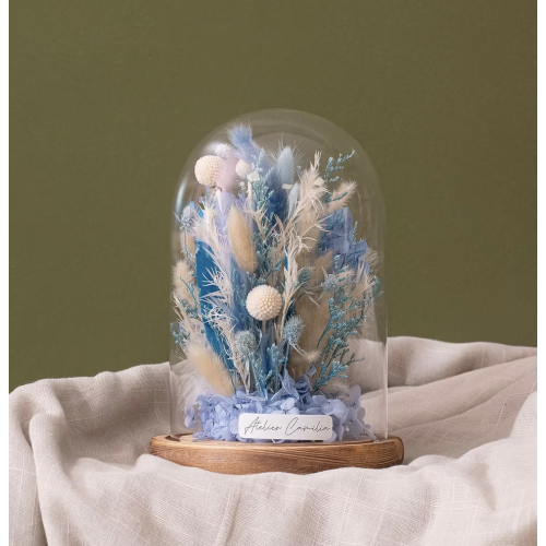 Cloche M Cloche M