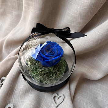 Cloche Rose Eternelle Bleu