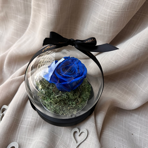 Cloche Rose Eternelle Bleu Cloche Rose Eternelle Bleu