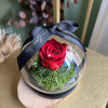 Cloche Rose Eternelle