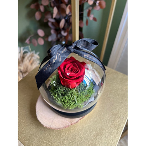 Cloche Rose Eternelle Cloche Rose Eternelle
