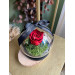 Cloche Rose Eternelle Cloche Rose Eternelle