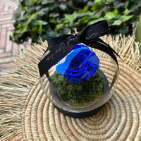 Cloche Rose Eternelle