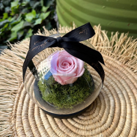 Cloche Rose Eternelle