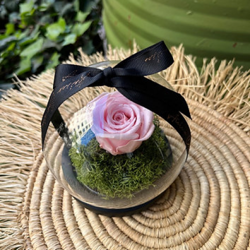 Cloche Rose Eternelle Cloche Rose Eternelle