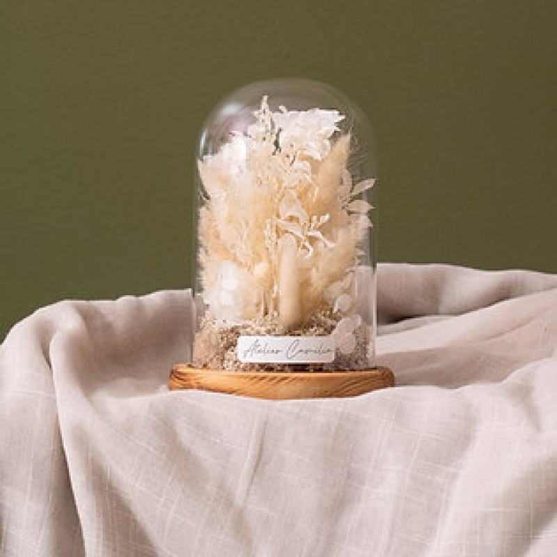 Cloche S