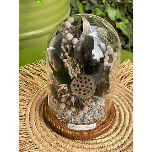 Cloche M Cloche M