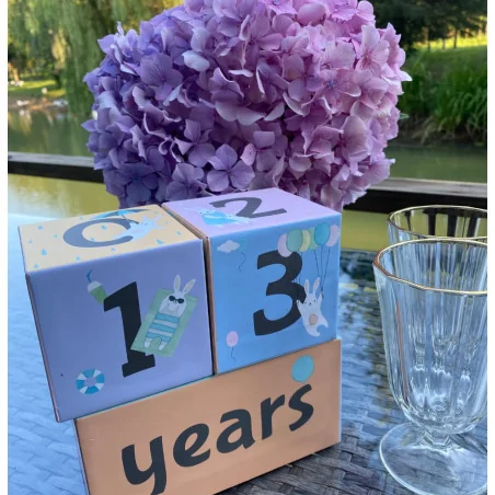 Cubes âge souvenirs Grossesse, Naissance et Anniversaire