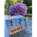Cubes âge souvenirs Grossesse, Naissance et Anniversaire