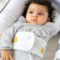 Doomoo Cocoon Réducteur De Lit Bear Anhtracite