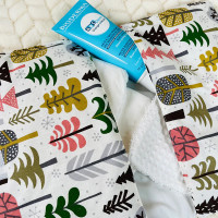 Organisateur - Forêt