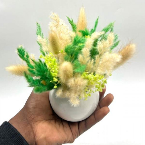 Very Mini Spring Very Mini Spring
