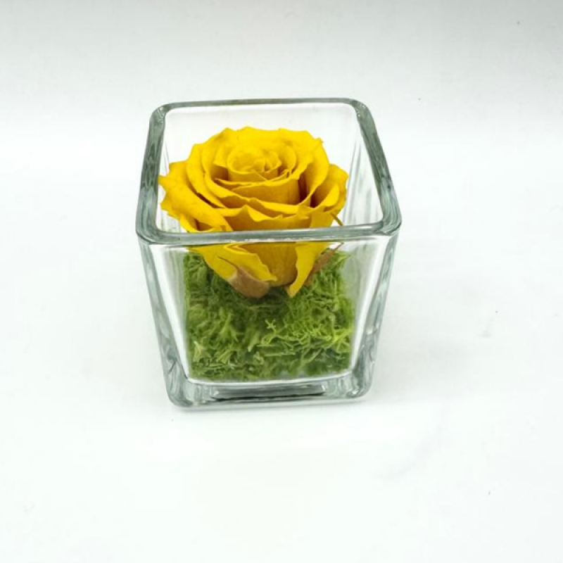 Mini Yellow C