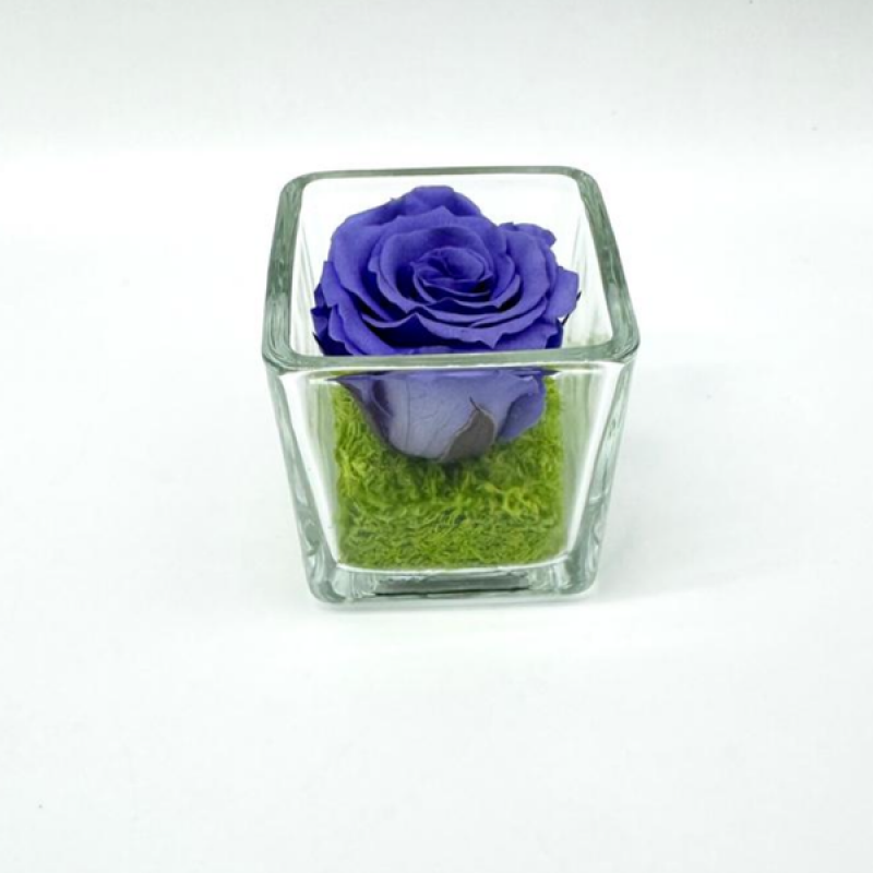 Mini Lavender C