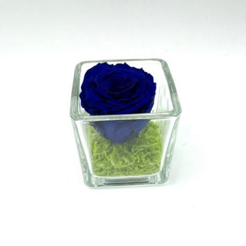 Mini Royal Blue C Mini Royal Blue C