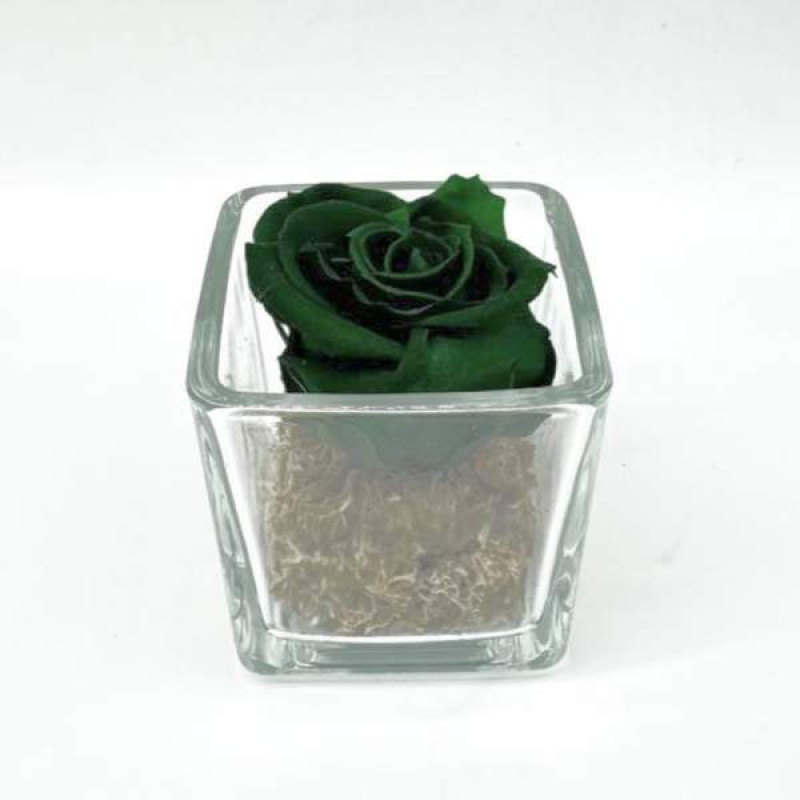 Mini Emerald C