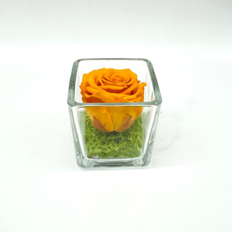 Mini Blossom C