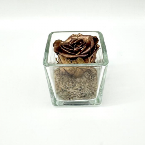Mini Bronze C Mini Bronze C