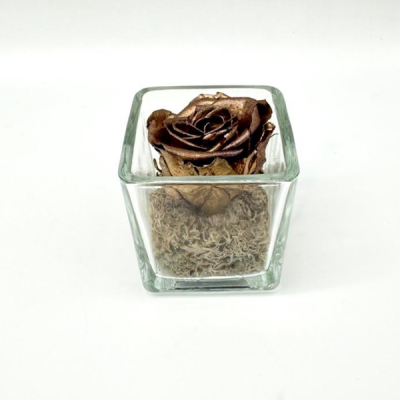 Mini Bronze C