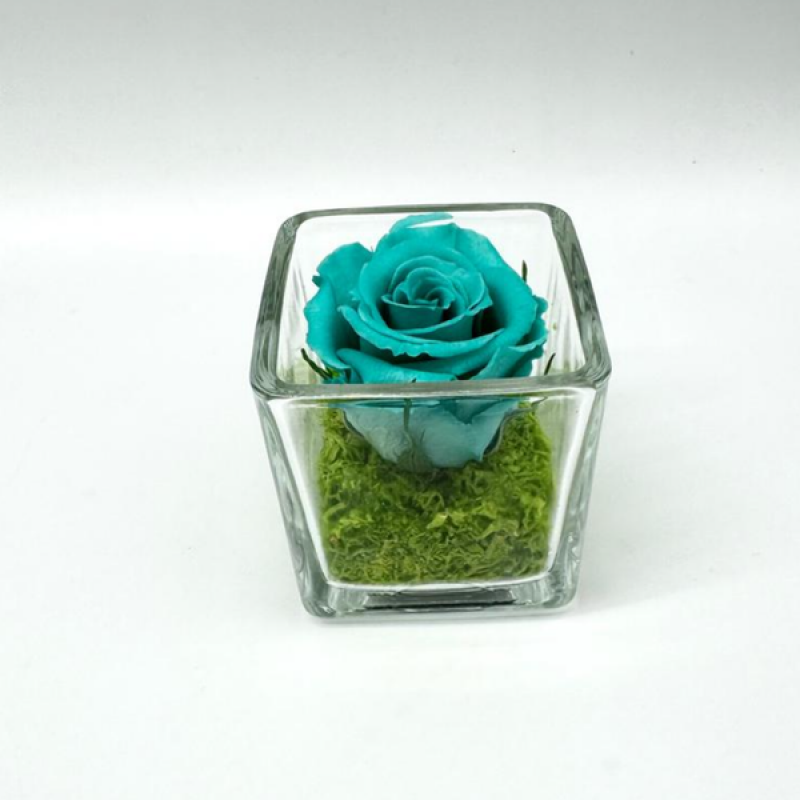 Mini Tiffany C