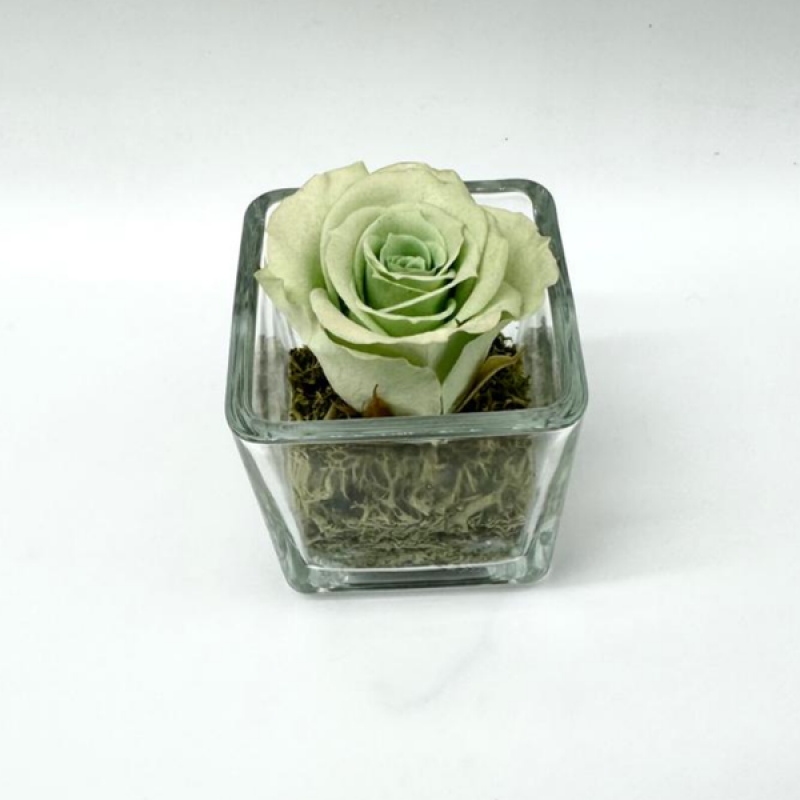Mini Green C