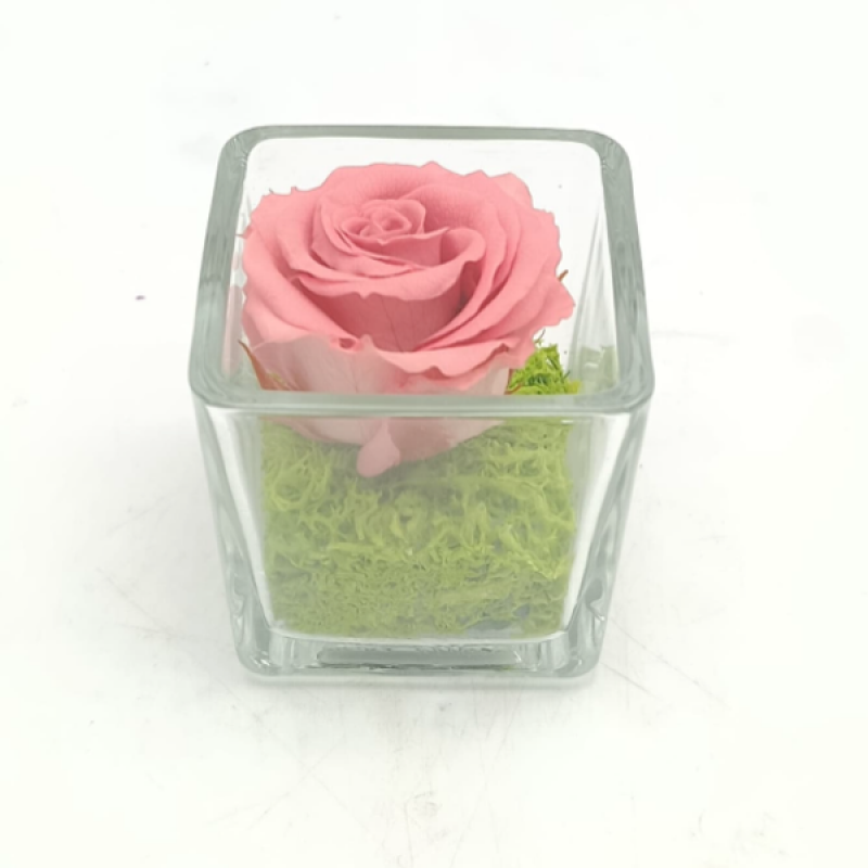 Mini BaBy Pink C