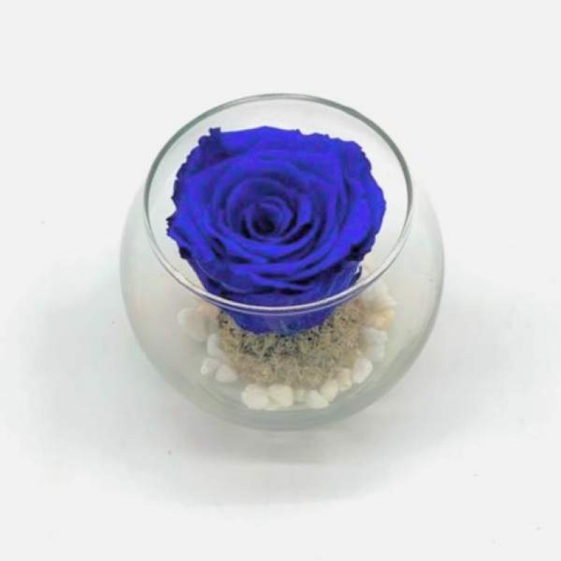 Mini Royal Blue R