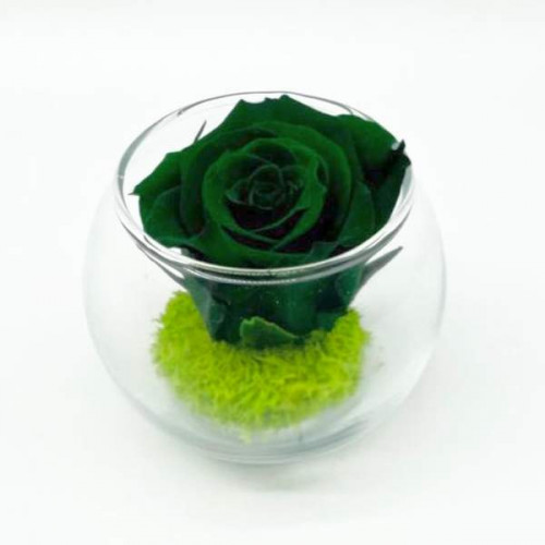 Mini Emerald R Mini Emerald R