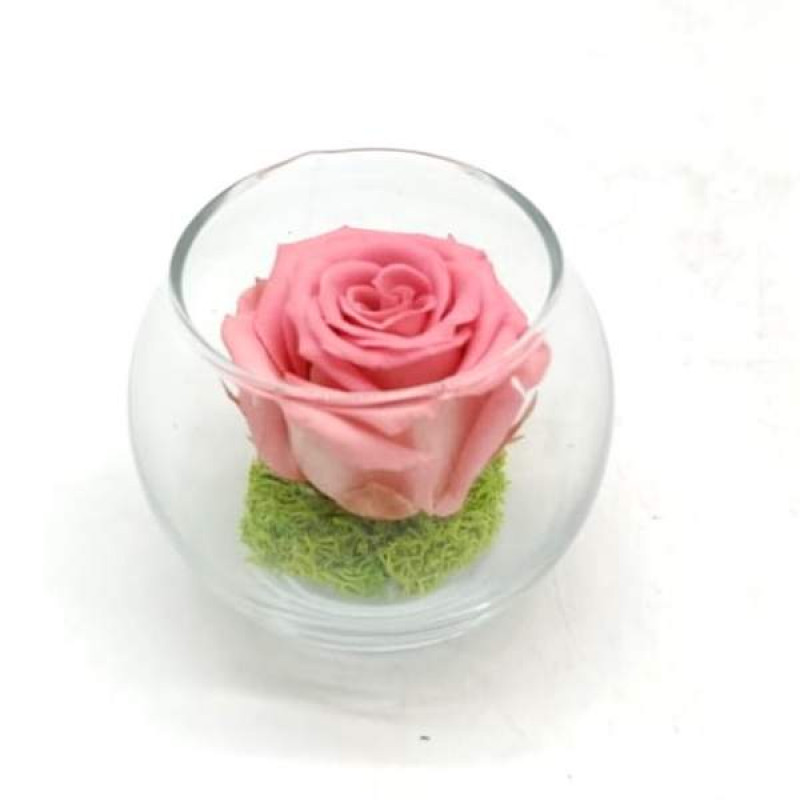 Mini Emerald R