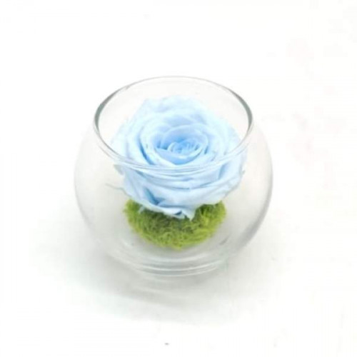 Mini Reflet Baby Blue Mini Reflet Baby Blue