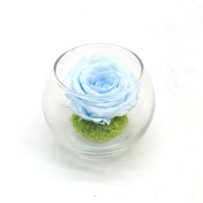 Mini Reflet Baby Blue