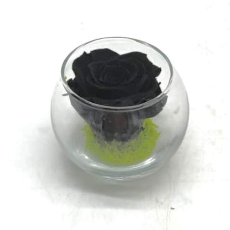 Mini Reflet Black R