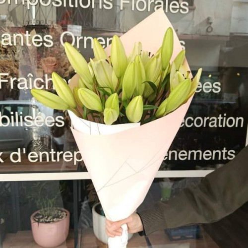 Lys Blancs Lys Blancs