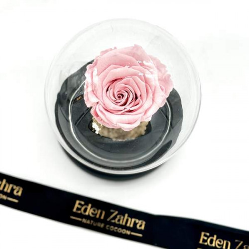 Cloche Eternal Rose Cloche Eternal Rose