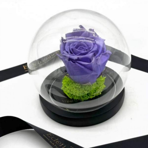 Lavender Globe Lavender Globe