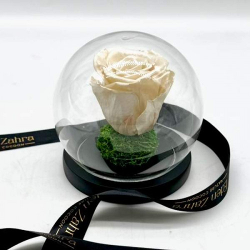 Cloche Eternal Pearl Cloche Eternal Pearl