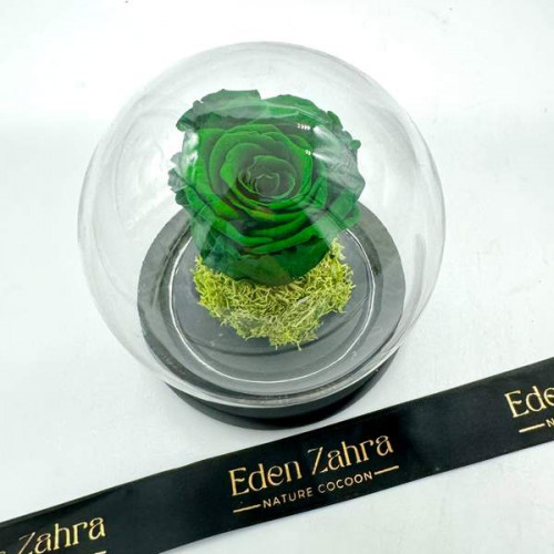 Emerald Rose Emerald Rose