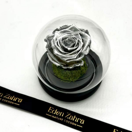 Eternal Silver Rose Eternal Silver Rose