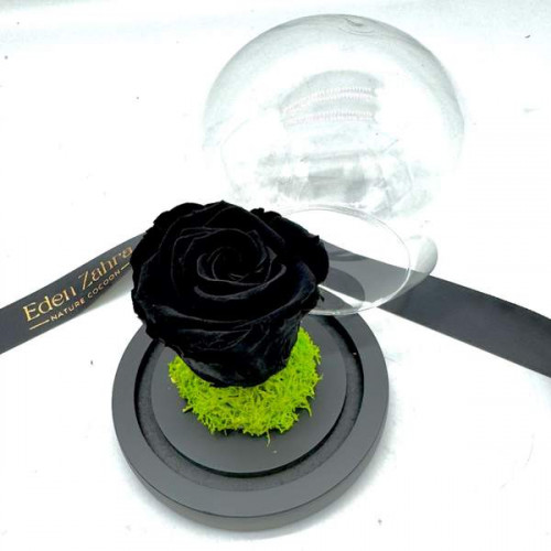 Royal Black Eternel Rose Royal Black Eternel Rose