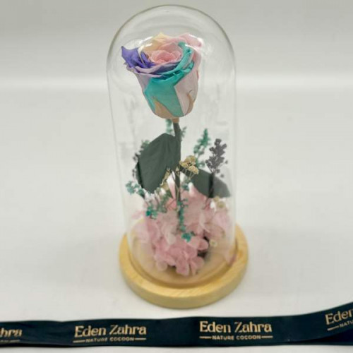 Cloche Eternal Rainbow Pink Cloche Eternal Rainbow Pink