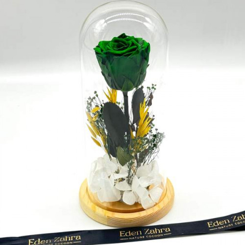 Cloche Eternal Emerald Cloche Eternal Emerald