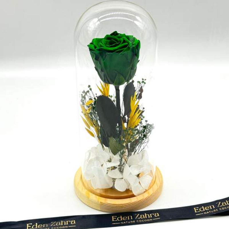 Cloche Eternal Emerald