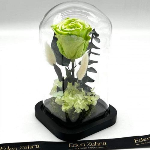 Cloche Eternal Rose Mint Cloche Eternal Rose Mint