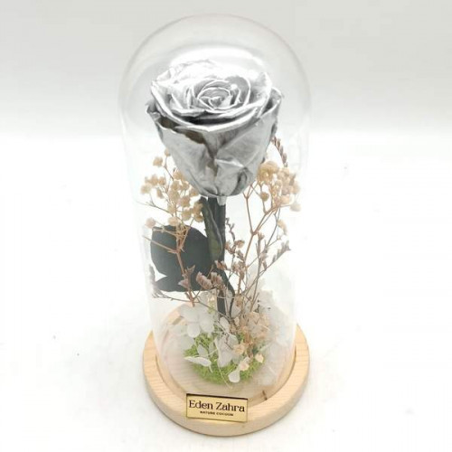 Eternity Silver Eternity Silver