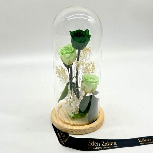 Cloche Green Shades Cloche Green Shades