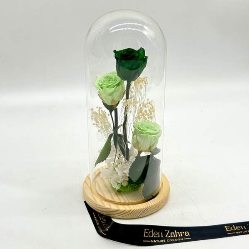 Cloche Green Shades