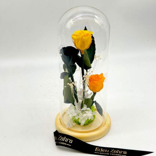 Cloche Orange Shades Cloche Orange Shades