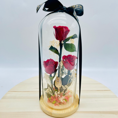 Cloche Total Red Cloche Total Red