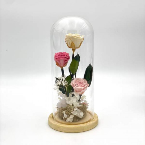 Cloche Pink Shades Cloche Pink Shades