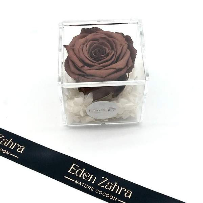 Pure Chocolat